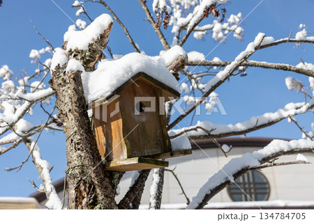 屋根に雪の積もったの積もった巣箱 134784705