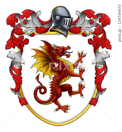 Dragon Coat of Arms Family Crest Heraldic Shield 134784973