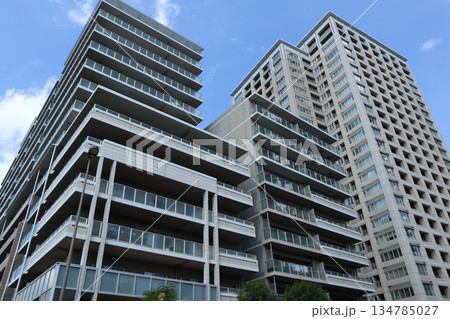千葉県 柏の葉キャンパスの街並み 千葉県 柏の葉キャンパスの街並み 134785027