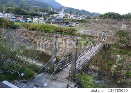 愛媛県 砥部町 衝上断層公園 愛媛県 砥部町 衝上断層公園 134785030