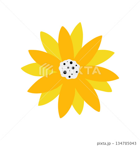 yellow flower iconのイラスト素材 [134785043] - PIXTA