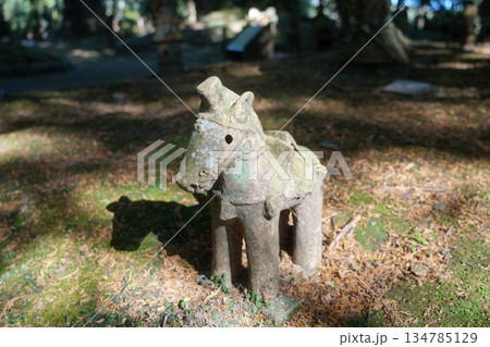宮崎県宮崎市の平和台公園のはにわ園 宮崎県宮崎市の平和台公園のはにわ園 134785129