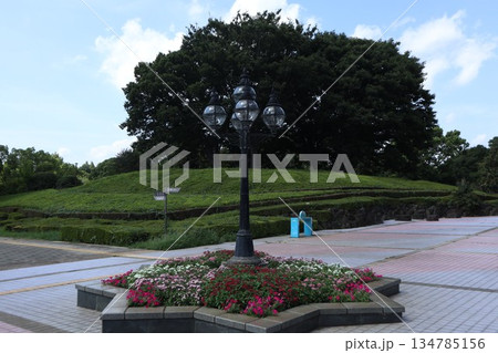 千葉県　柏の葉公園 134785156