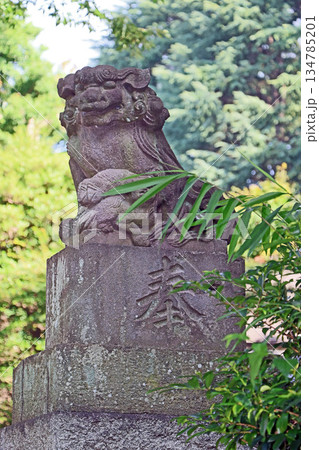 青渭神社(調布) 青渭神社(調布) 134785201