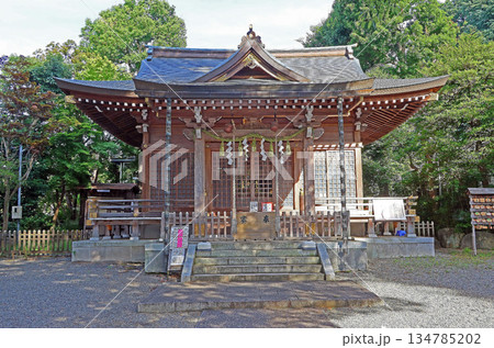 青渭神社（調布） 134785202