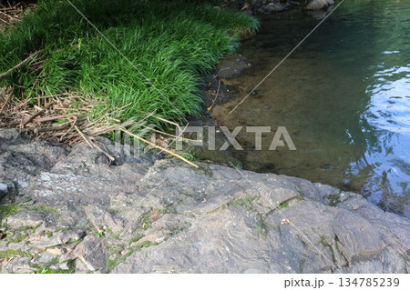 中央構造線　衝上断層　愛媛県　砥部町 134785239