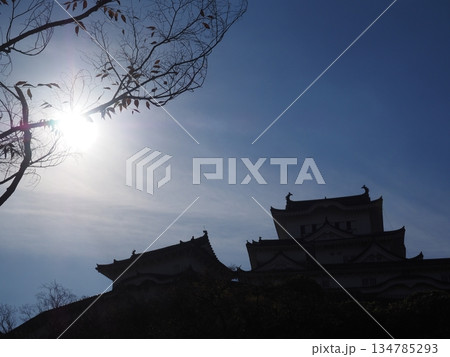 姫路城と太陽 134785293