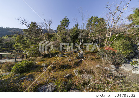 大本山天龍寺(冬季朝) 大本山天龍寺(冬季朝) 134785332