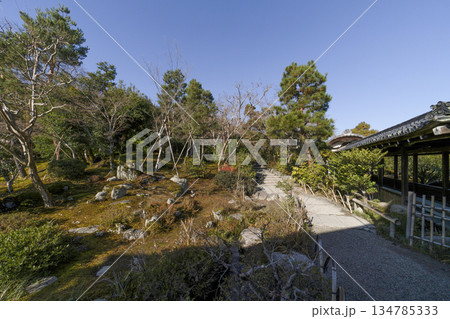 大本山天龍寺(冬季朝) 大本山天龍寺(冬季朝) 134785333