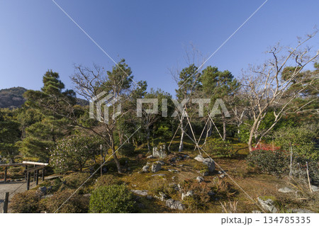 大本山天龍寺（冬季朝） 134785335