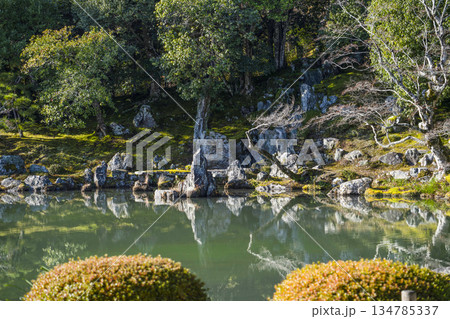 大本山天龍寺(冬季朝)曹源池 大本山天龍寺(冬季朝)曹源池 134785337