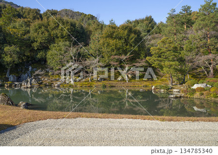 大本山天龍寺（冬季朝）曹源池庭園 134785340