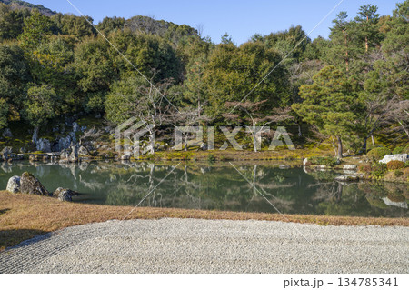 大本山天龍寺(冬季朝)曹源池庭園 大本山天龍寺(冬季朝)曹源池庭園 134785341