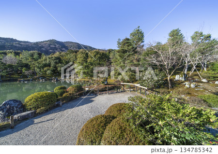 大本山天龍寺（冬季）曹源池庭園 134785342