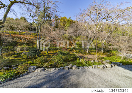 大本山天龍寺（冬季 134785343