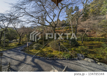 大本山天龍寺（冬季 134785344