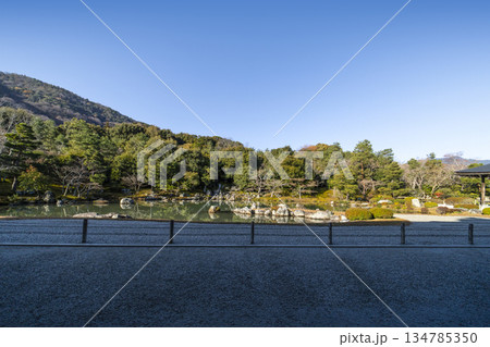 大本山天龍寺(冬季朝)曹源池庭園 大本山天龍寺(冬季朝)曹源池庭園 134785350