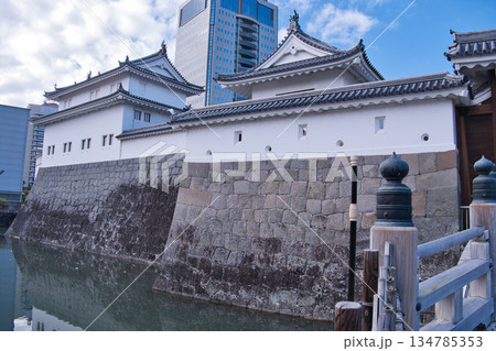 駿府城 134785353
