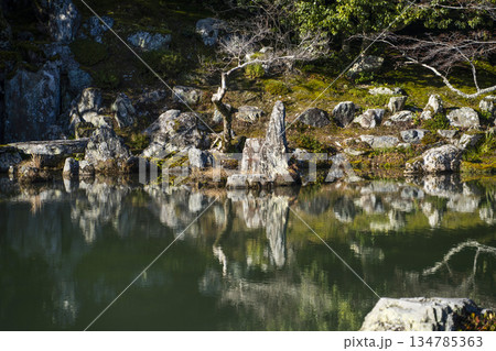 大本山天龍寺（冬季朝）曹源池 134785363