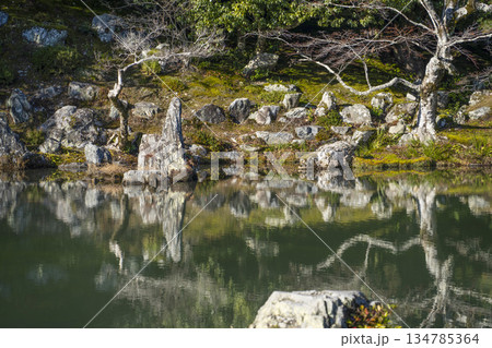 大本山天龍寺(冬季朝)曹源池 大本山天龍寺(冬季朝)曹源池 134785364