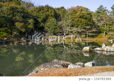 大本山天龍寺(冬季朝)曹源池 大本山天龍寺(冬季朝)曹源池 134785369