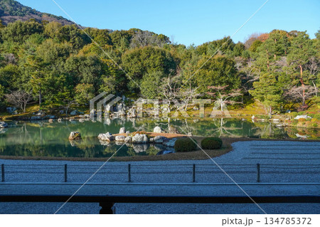 大本山天龍寺(冬季朝)曹源池庭園 大本山天龍寺(冬季朝)曹源池庭園 134785372