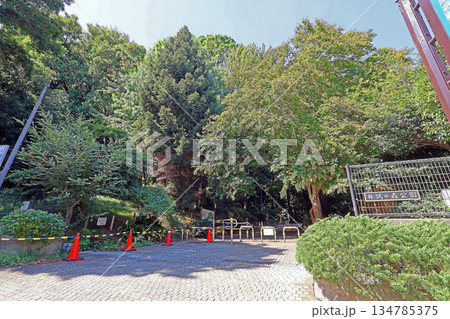 林試の森公園（品川） 134785375