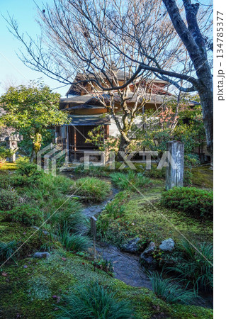 大本山天龍寺(冬季朝)庭園内の大堰川 大本山天龍寺(冬季朝)庭園内の大堰川 134785377