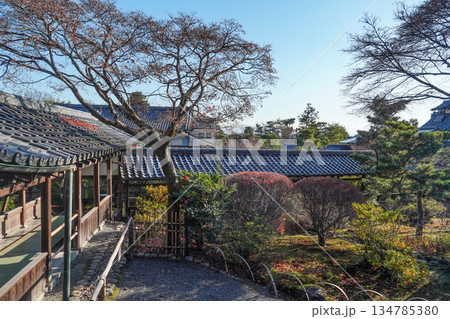 大本山天龍寺（冬季朝）渡り廊下 134785380