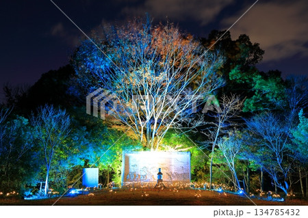 【香川県】屋島ライトアップ&プロジェクションマッピング 134785432