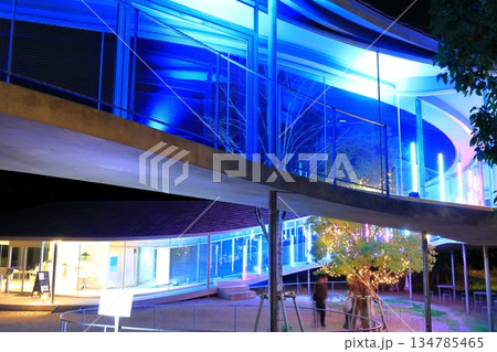 【香川県】屋島ライトアップ&プロジェクションマッピング 134785465