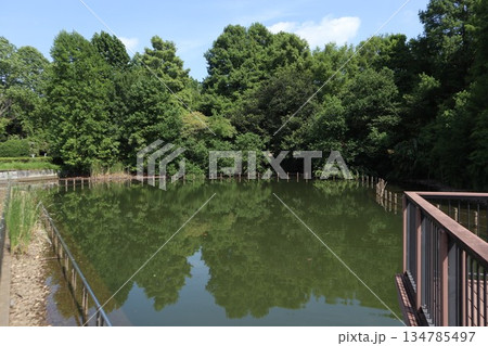 千葉県　柏の葉公園 134785497