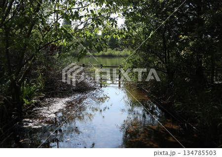 千葉県　柏の葉公園 134785503