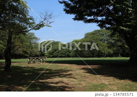 千葉県 柏の葉公園 千葉県 柏の葉公園 134785571