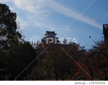 秋の姫路城 秋の姫路城 134785583