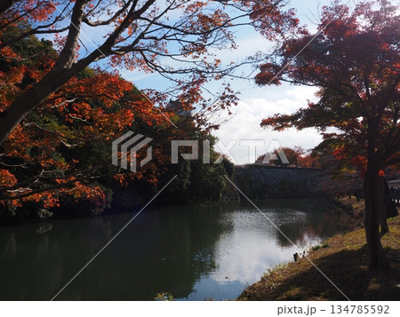 秋の姫路城 秋の姫路城 134785592