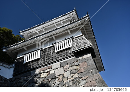 玖島城 (Kushima Castle / Ōmura Castle)　大村公園 134785666