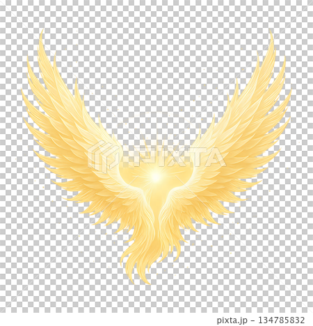 Golden flame sacred wings effect material Golden flame sacred wings effect material 134785832