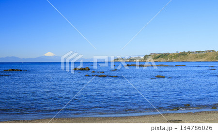 相模湾越しに冠雪藤を望む 134786026