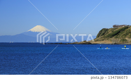 相模湾越しに冠雪藤を望む 134786073