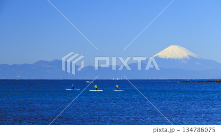 相模湾越しに冠雪藤を望む 相模湾越しに冠雪藤を望む 134786075