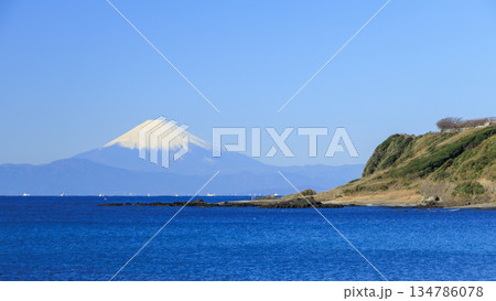 相模湾越しに冠雪藤を望む 134786078