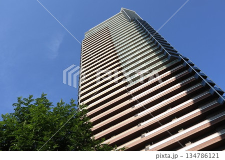 千葉県 柏の葉キャンパスの街並み 千葉県 柏の葉キャンパスの街並み 134786121