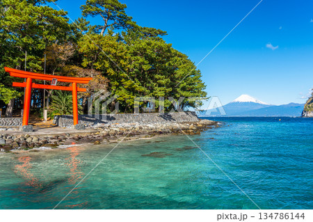 諸口神社 鳥居と駿河湾と富士山 「沼津市戸田」 諸口神社 鳥居と駿河湾と富士山 「沼津市戸田」 134786144