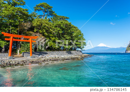 諸口神社　鳥居と駿河湾と富士山　「沼津市戸田」 134786145