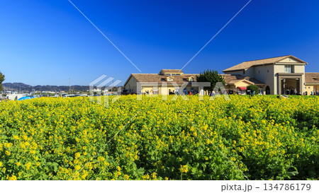 年中無休(元旦も空いてます)のソレイユの丘 年中無休(元旦も空いてます)のソレイユの丘 134786179