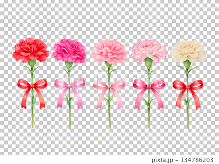 母親節紅色康乃馨禮物 134786203