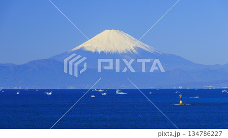 海岸から望む、海越しの冬の富士山 134786227