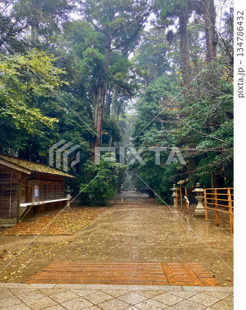 鹿島神宮・参道（茨城県・鹿島市） 134786432