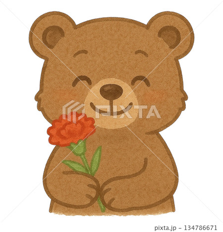 【母の日】カーネーションを持った子グマのイラスト 134786671